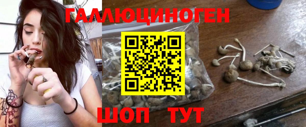 Хасавюрт  Галлюциногенные грибы GOLDEN TEACHER  Вход с VPN 
